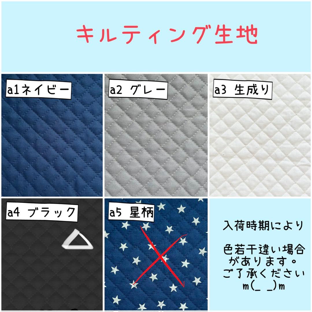 入園 入学 ☆レッスンバッグ　オーダー 受注注文 男の子　《恐竜　ダイナソー》
