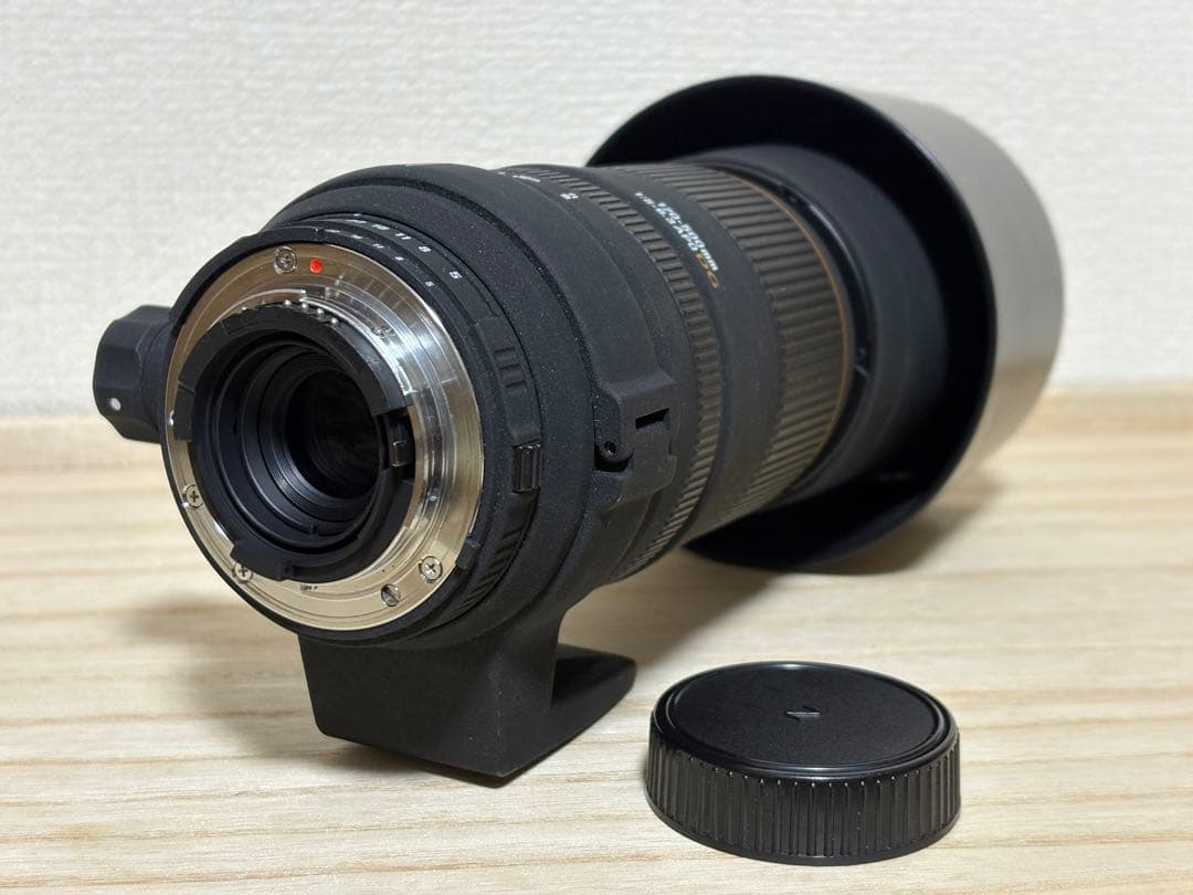 とと。　SIGMA(シグマ) 170-500㎜