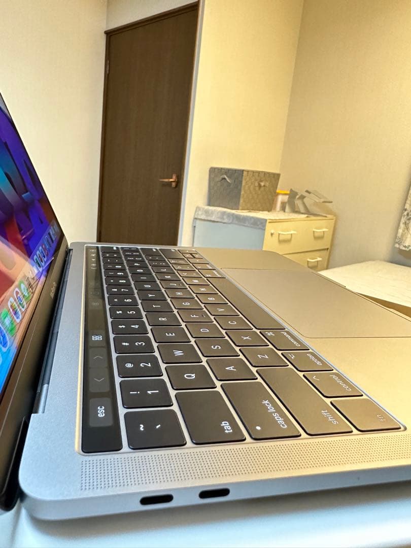 2024年OS 美品 Apple MacBook Pro 32GB/ 512GB