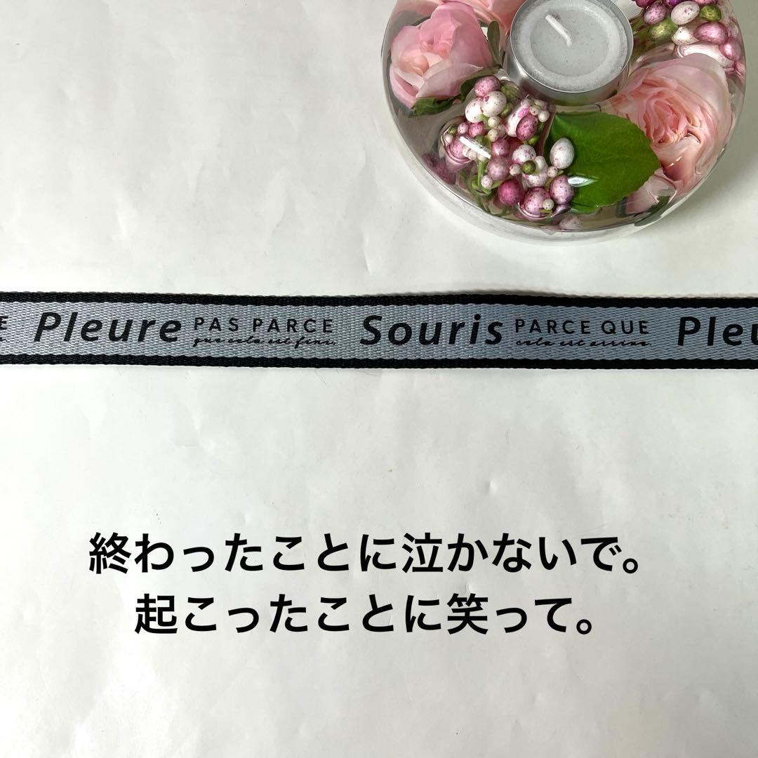 ともこ　エコバッグ　トートバッグ　猫の庭園　ブラック　ハンドメイド