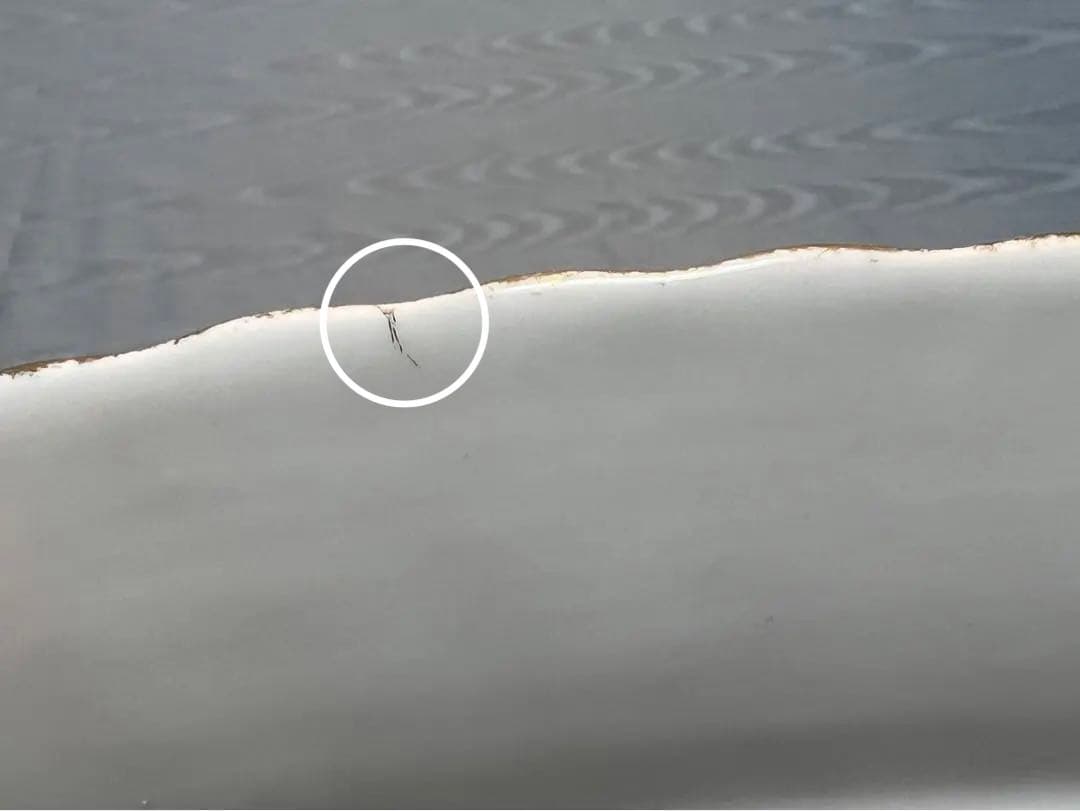 ロイヤルアルバート　オールドカントリーローズ　オーバルディッシュ41cm