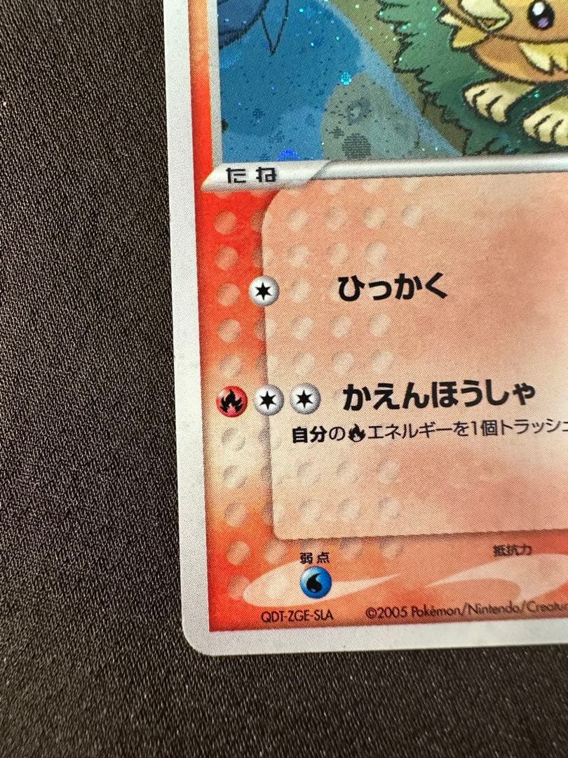 【特価】ポケパークのアチャモ ポケパークプレミアムファイル 002/009
