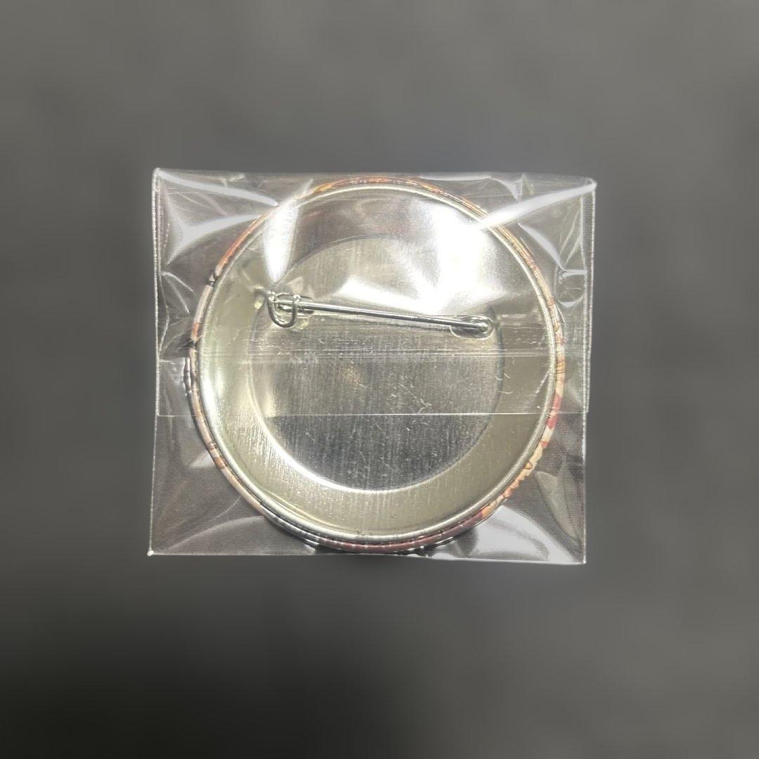 ★激レア！！★ ローゼンメイデン 缶バッジ