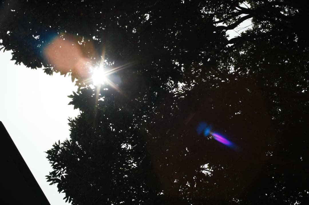 【この値段でライカ級】富岡光学製 XR RIKENON 50mm F2 760