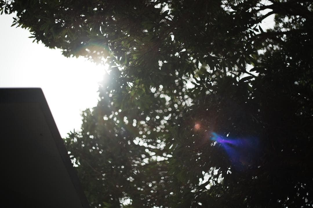 【この値段でライカ級】富岡光学製 XR RIKENON 50mm F2 760