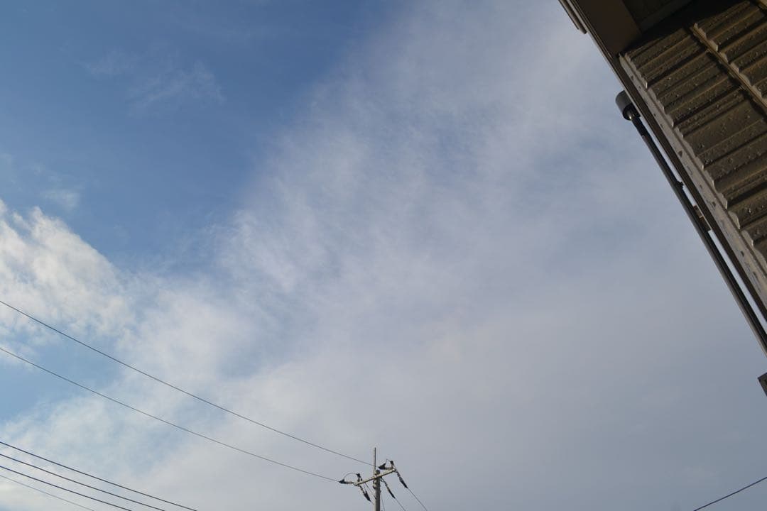 ❤新品級❤ Nikon D3100 ❤スマホ転送 動画撮影 一眼レフカメラ