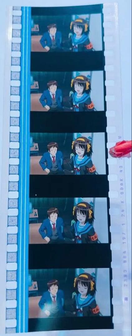 映画 涼宮ハルヒの消失 リバイバル上映 入場者特典 フィルム ハルヒ キョン