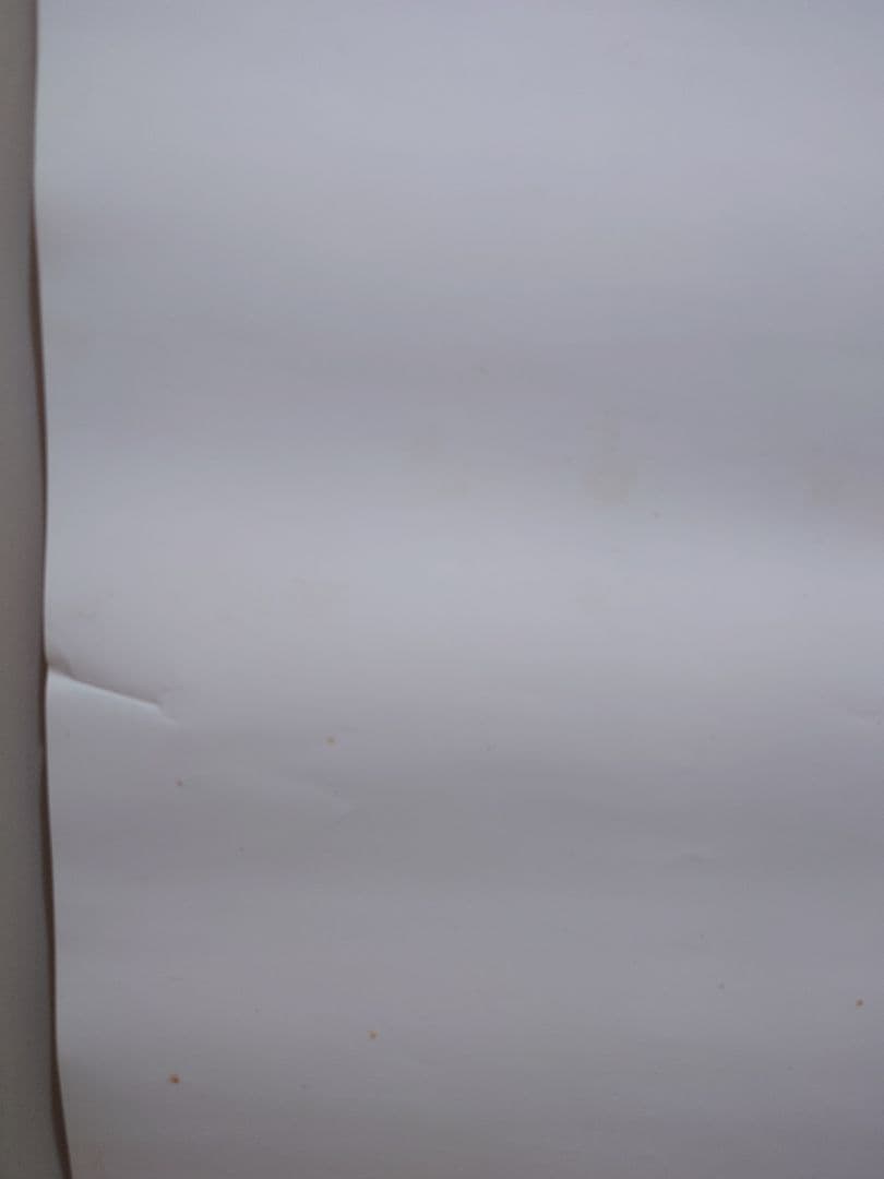 【超レア・超貴重】『 仮面ライダー555 ファイズ 』番宣ポスター　B2サイズ