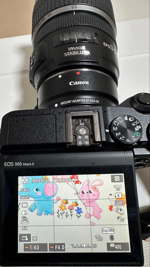 【美品】Canon EF-S 17-55mm f2.8 IS USMレンズ