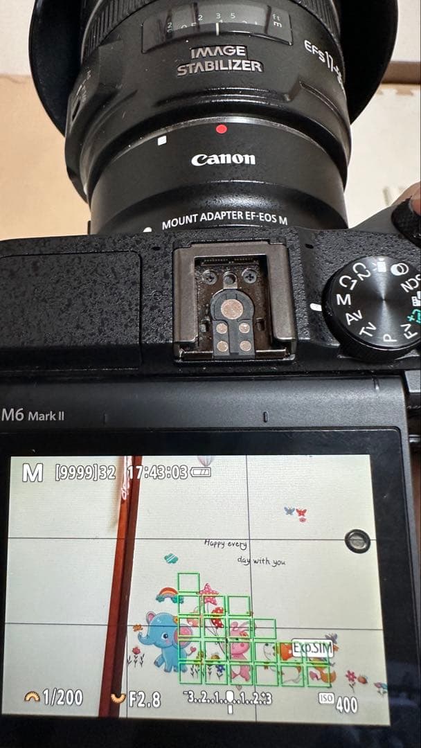 【美品】Canon EF-S 17-55mm f2.8 IS USMレンズ