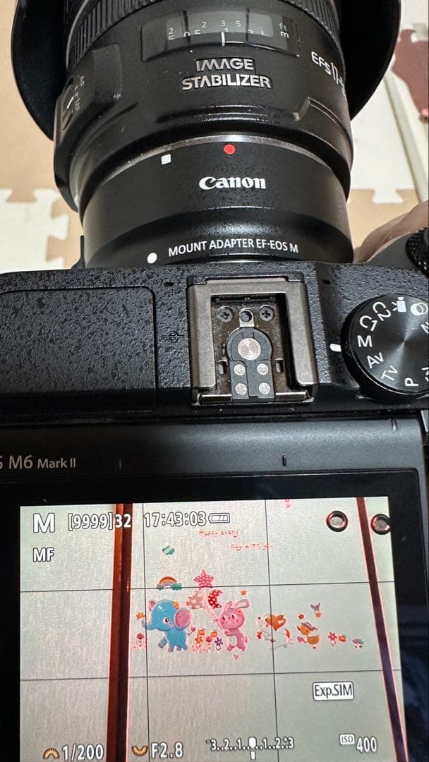 【美品】Canon EF-S 17-55mm f2.8 IS USMレンズ