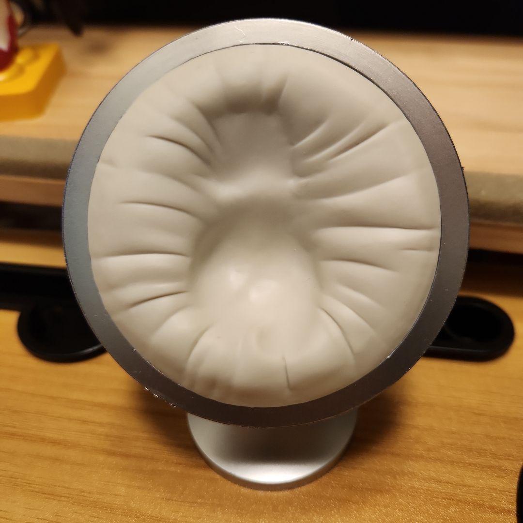 レイジュ　2体セット