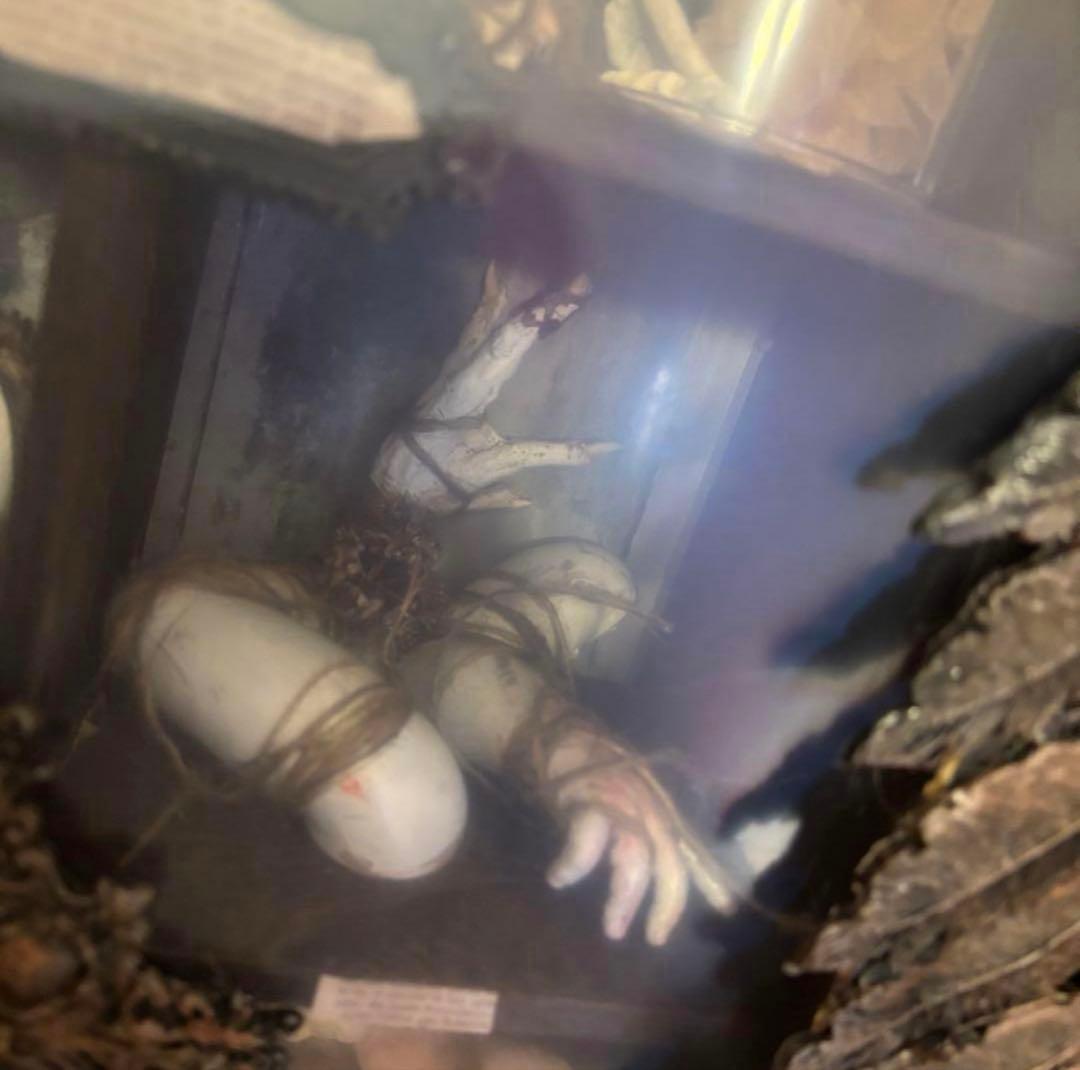 【おまとめ購入】 - 磔刑の手 退廃装飾オブジェ+天に使えしもの達の退廃聖堂2点