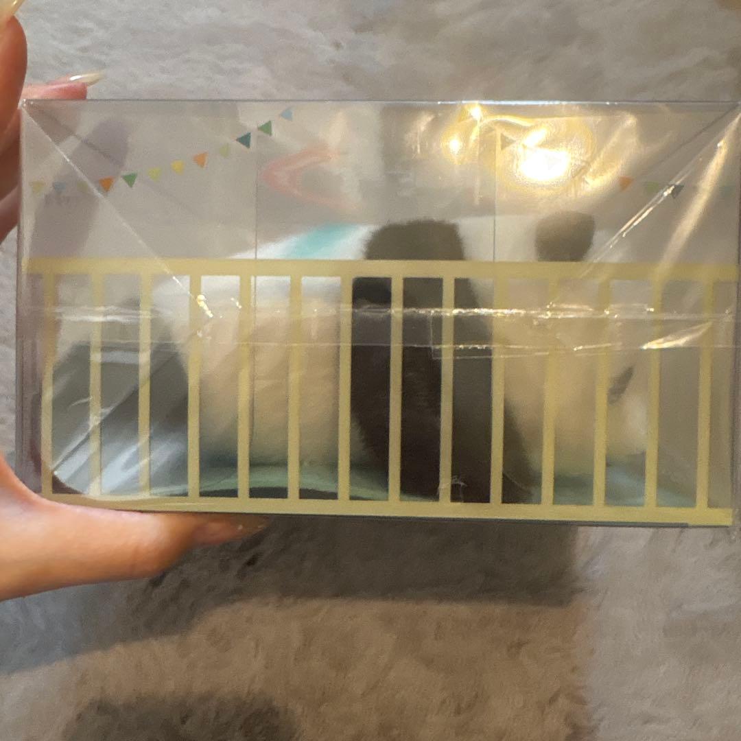 シャオシャオ&レイレイ　ぬいぐるみ