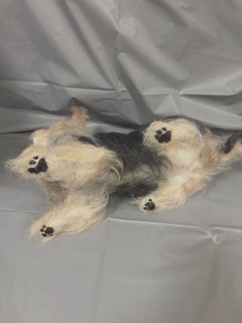 羊毛フェルト　犬　ヨークシャーテリア　修正可能◎