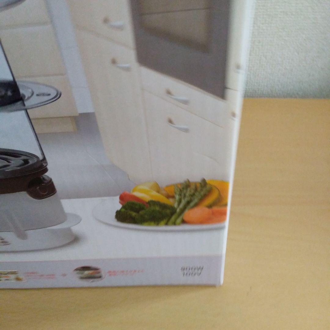 T-fal ULTRA COMPACT スチーマー 900W 100V 未使用