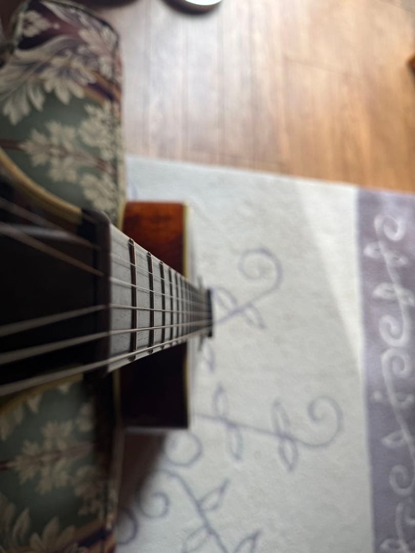 Eastman AR-800 整備済み