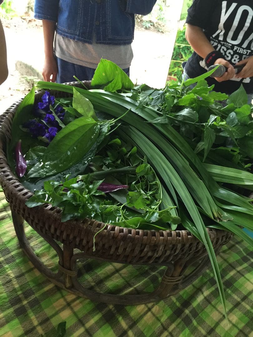 タイチェンマイの伝統的編みかご　2点　籐/ラタン /竹