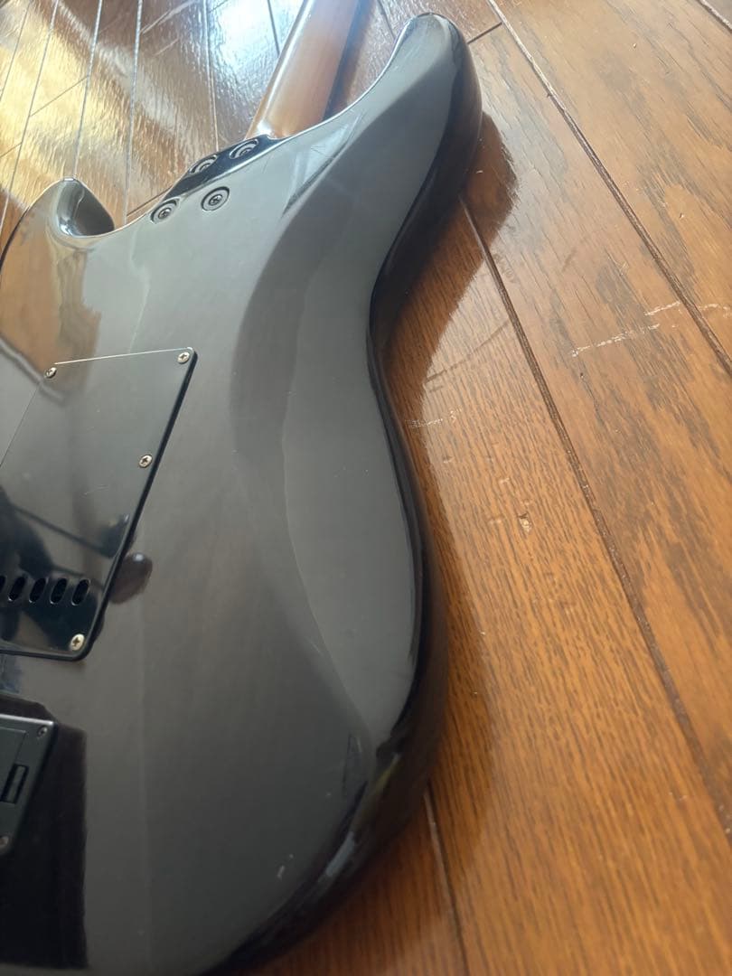 FERNANDES フェルナンデス サスティナー付