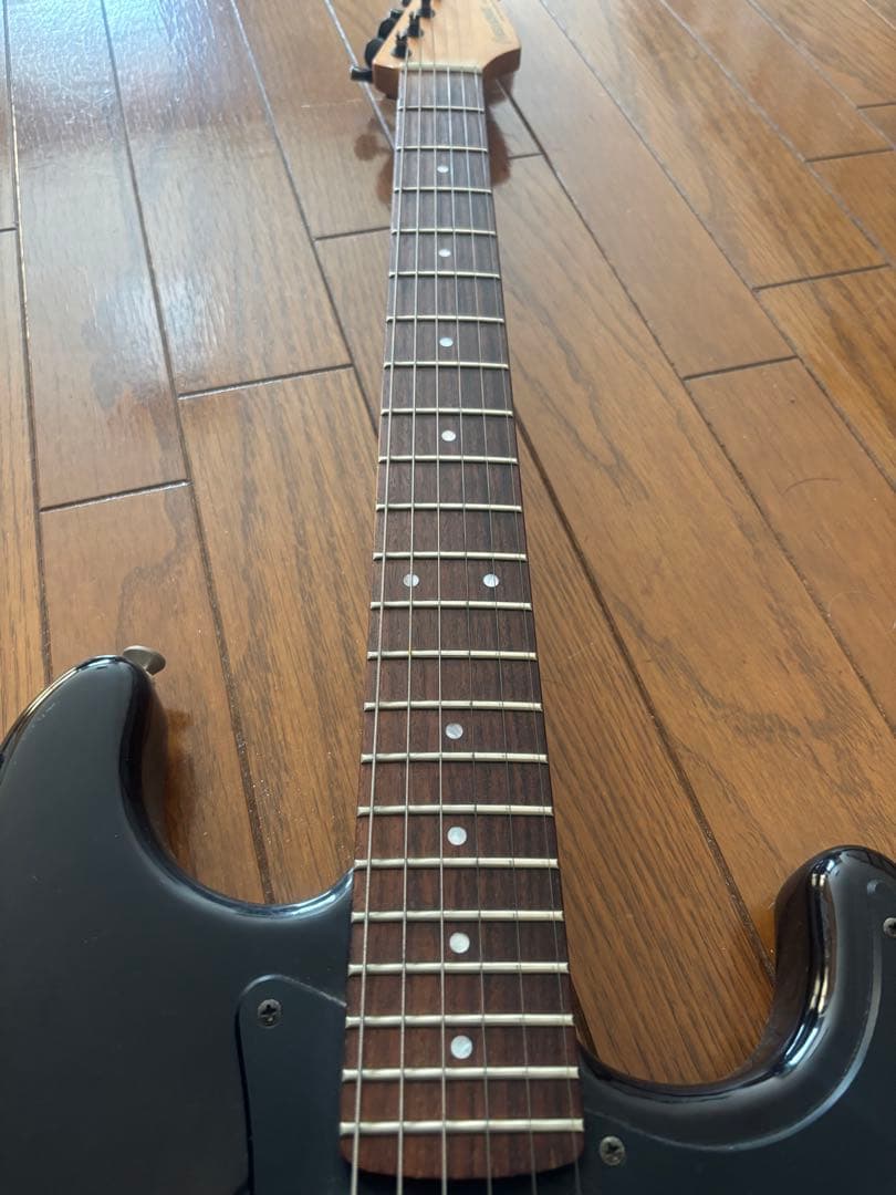 FERNANDES フェルナンデス サスティナー付