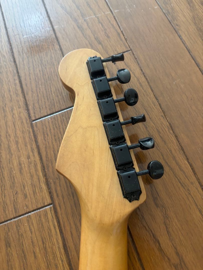 FERNANDES フェルナンデス サスティナー付