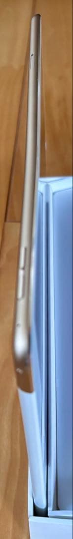 iPad Air2 ゴールド 16GB Wi-Fi+Cellular 箱付 美品