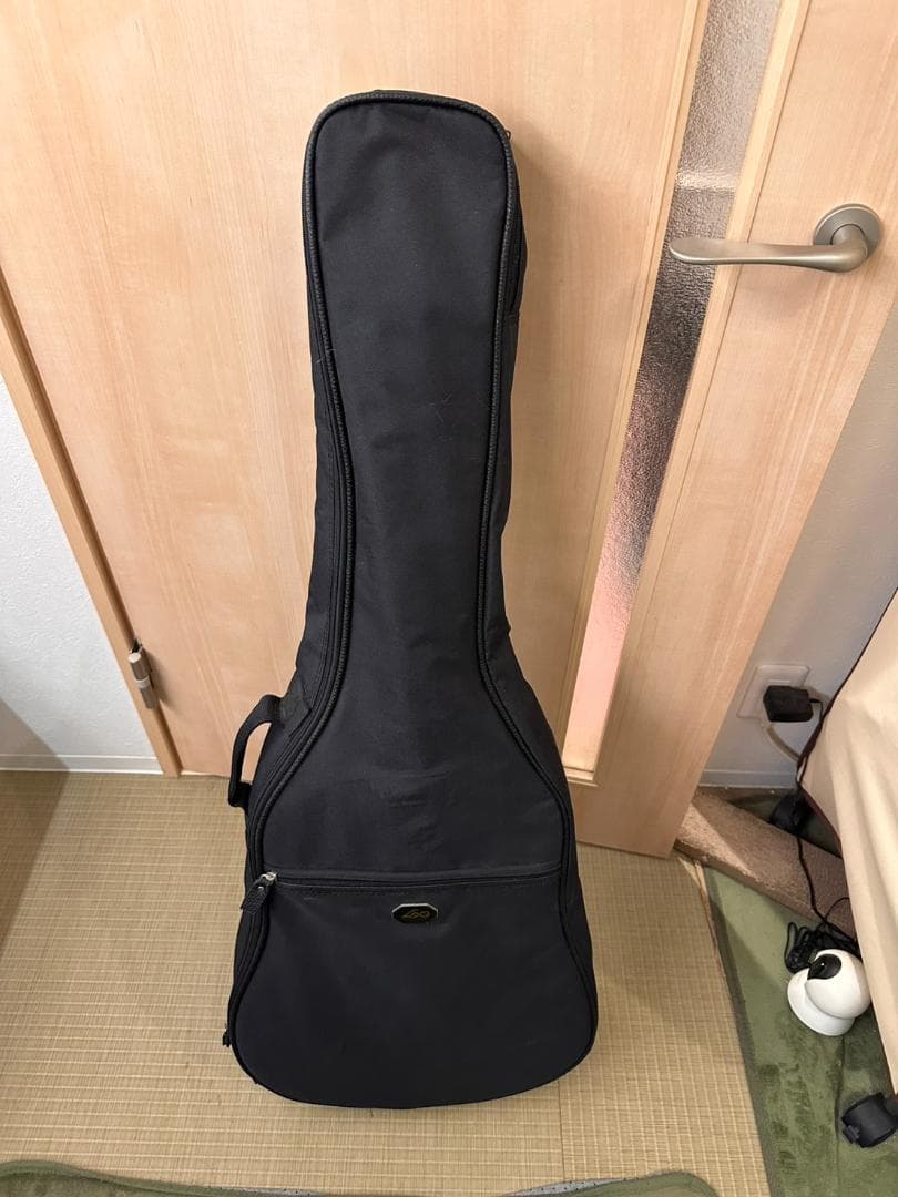LAG ラグ Tramontane T66D アコースティックギター　超極美品！