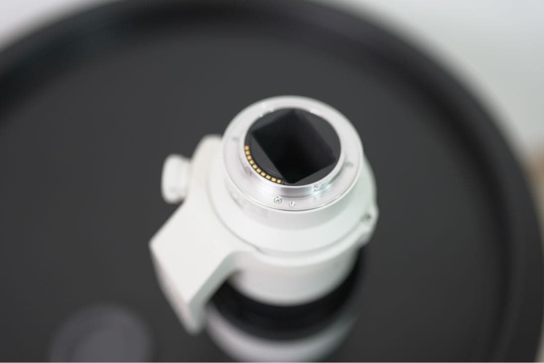 SONY FE 70-200mm F4 G OSS望遠ズーム