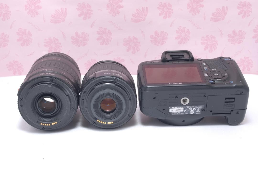 ⭐️ダブルレンズセット⭐️Canon Kiss X4 キャノン　デジタル一眼レフ