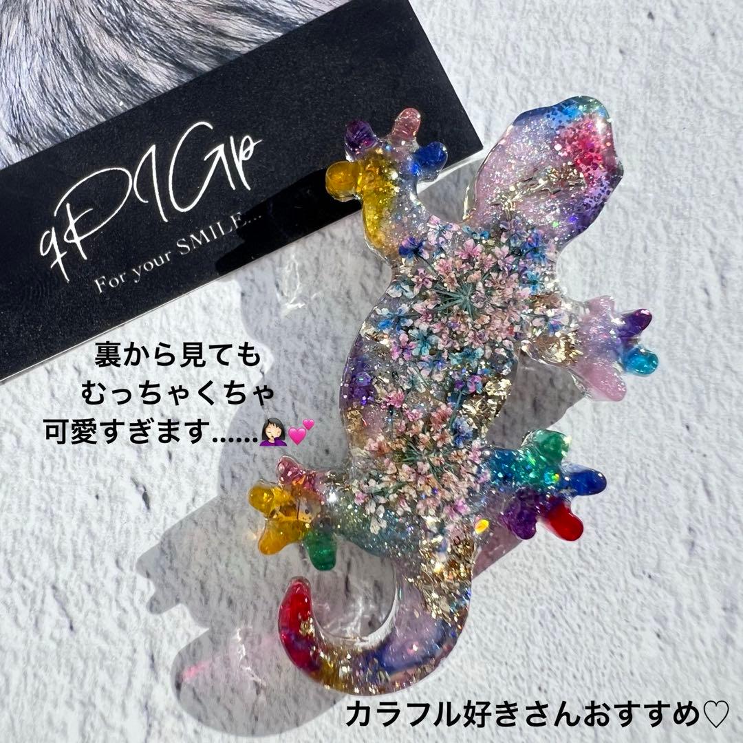 No.288 華やかすぎてどうする？トカゲ qPIGp両面仕様