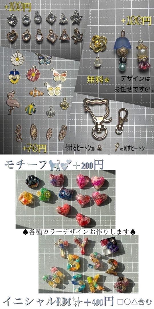 No.288 華やかすぎてどうする？トカゲ qPIGp両面仕様