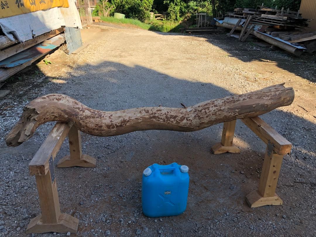 杉 約400年の根 変木 曲り 天然木 オブジェ アート インテリア 意匠