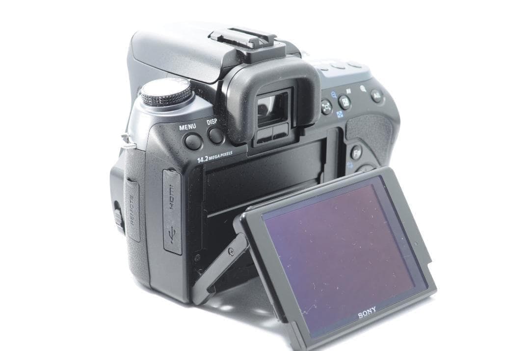 家族旅行を綺麗に残す❤️SONY α550✨高倍率レンズセット✨️すぐ使える