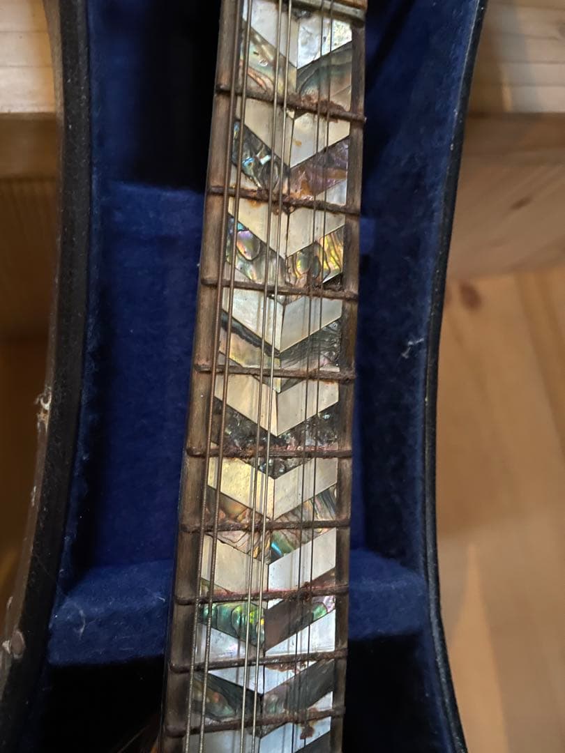 マンドリン本体 G.Puglisi Reale & Figli