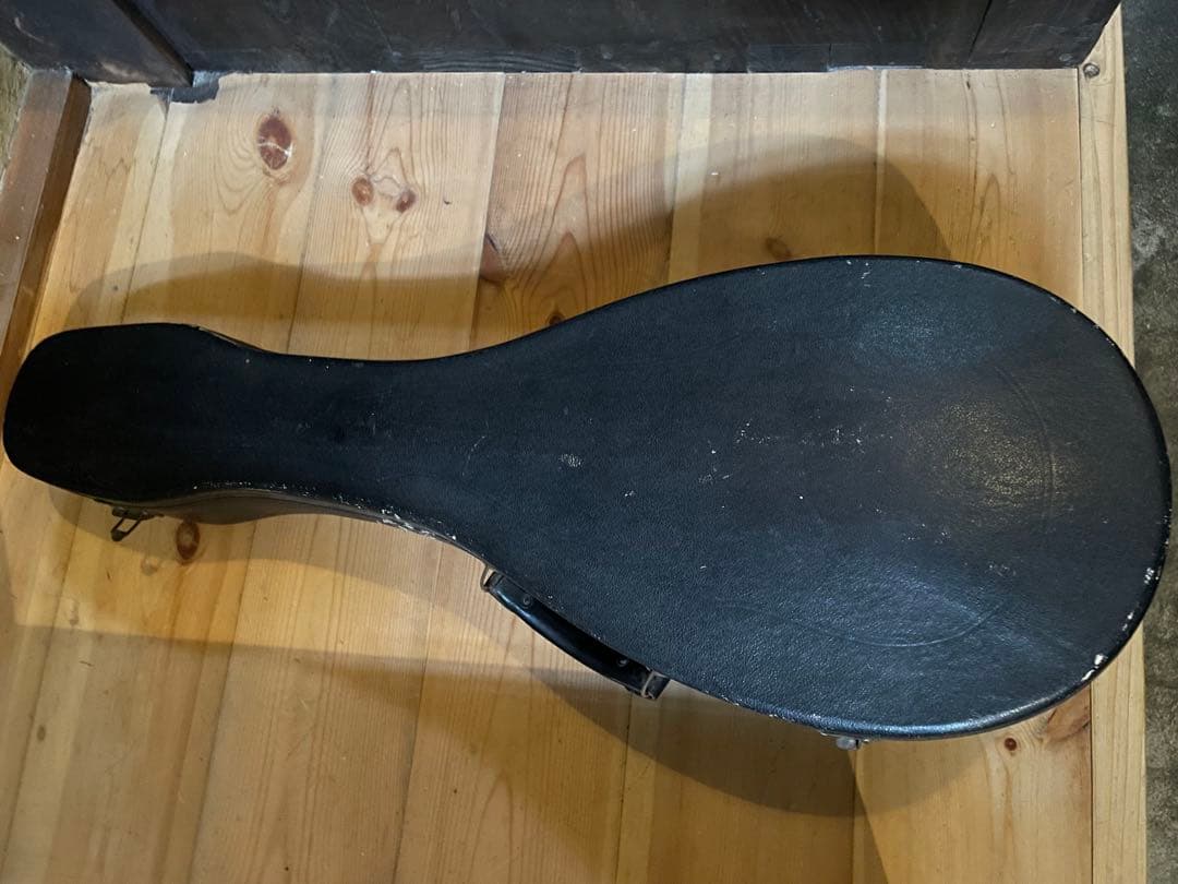 マンドリン本体 G.Puglisi Reale & Figli