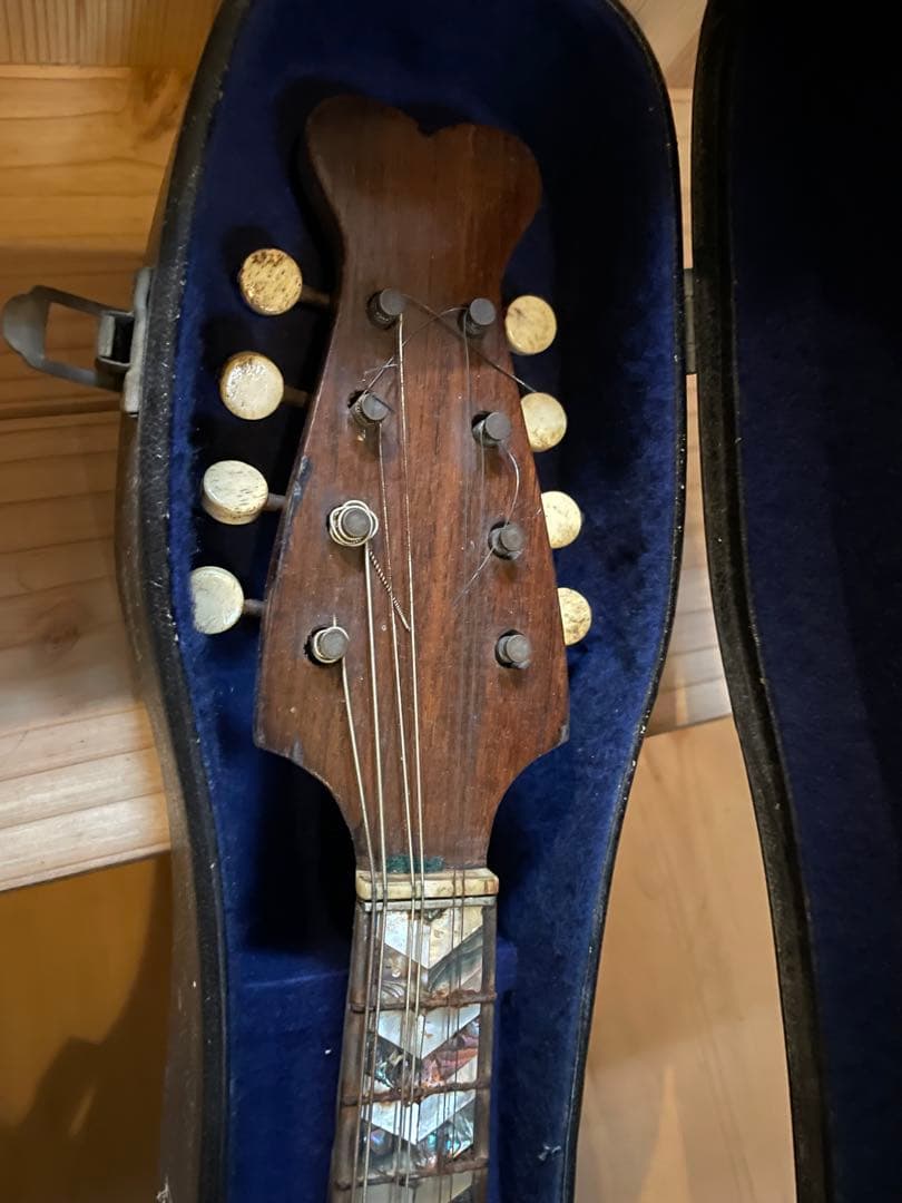 マンドリン本体 G.Puglisi Reale & Figli