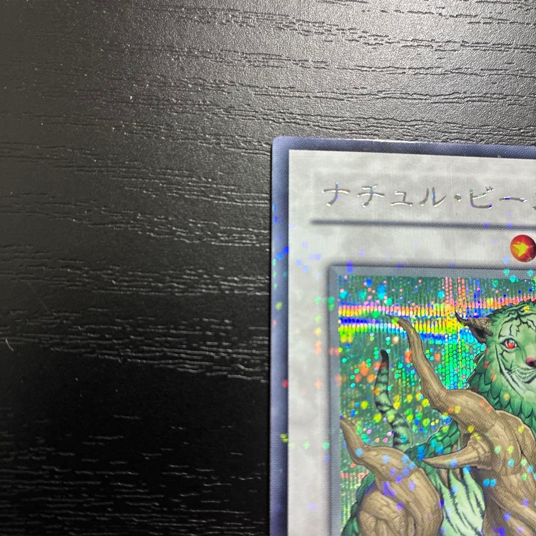 遊戯王　ナチュルビースト シークレットレア1枚【DT版】