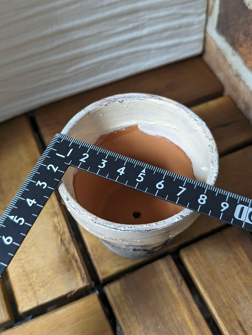 3号鉢プランター　不思議なうさぎ