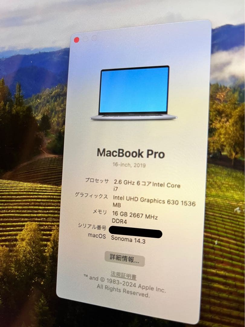 Apple MacBook Pro 16インチ (2019)