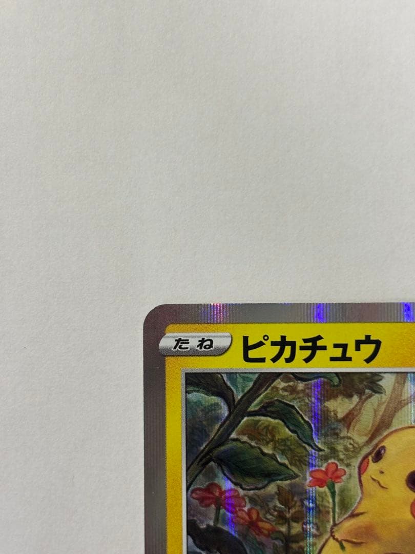 ピカチュウ 3枚セット