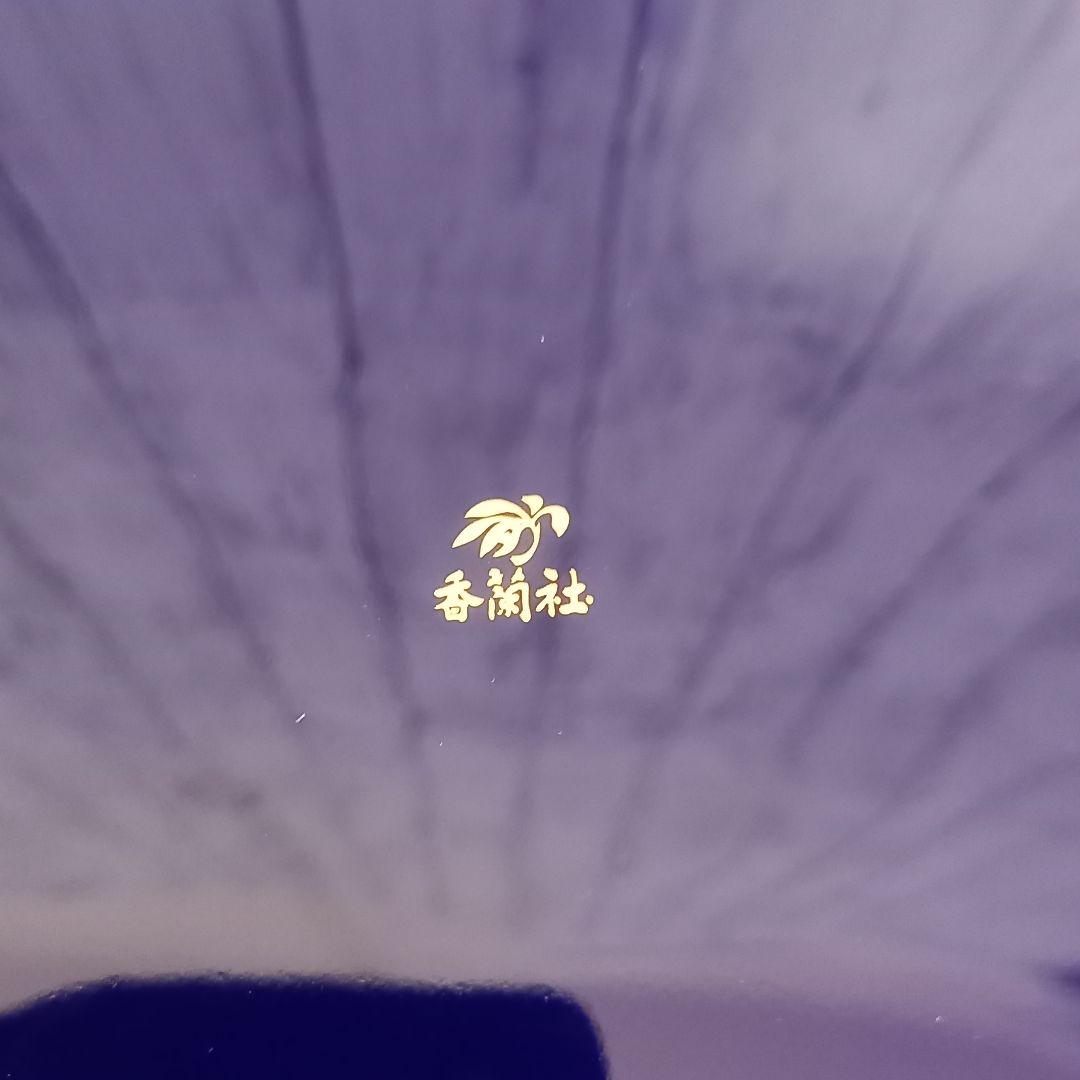 未使用 香蘭社　ルリ胡蝶蘭 パーティーセット