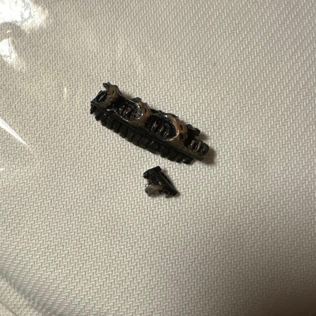 パリセイズ　エイリアンウォーリア　シグネチャースタチュー