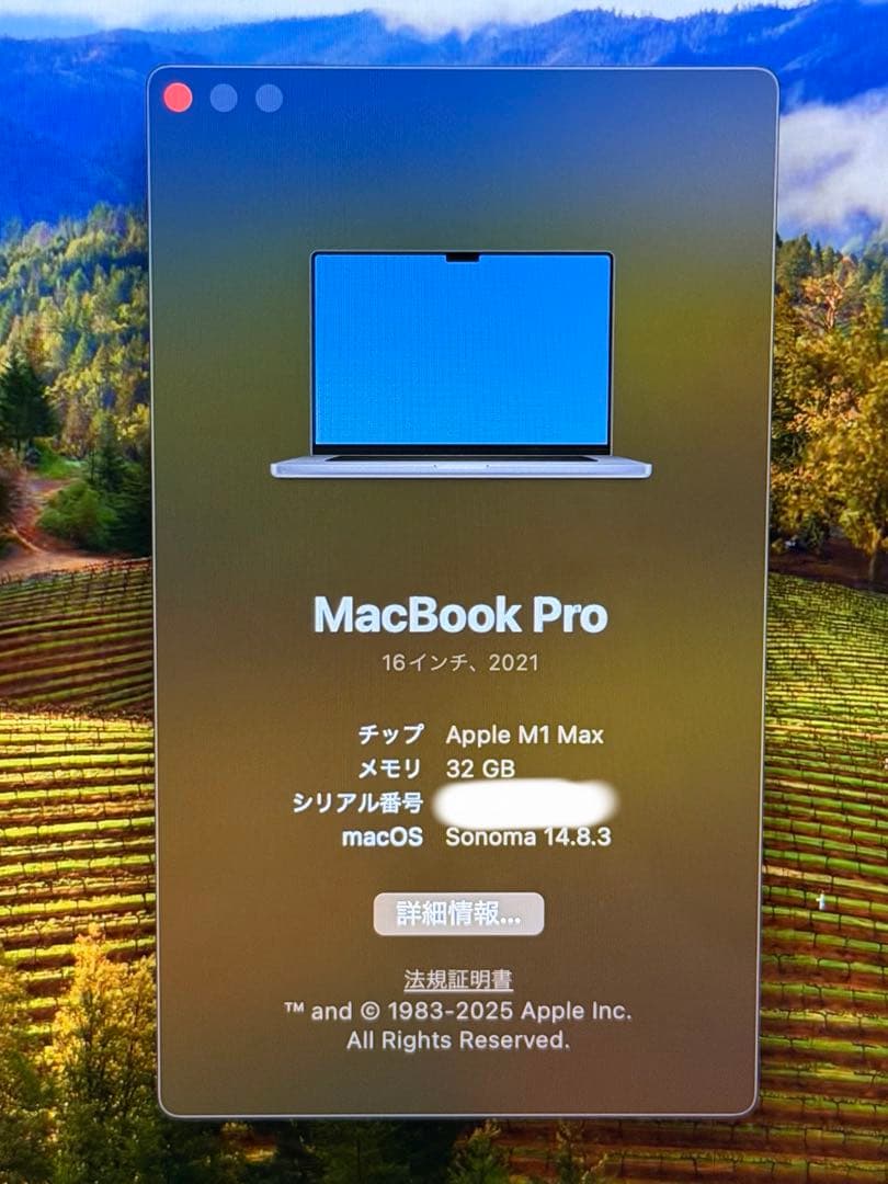 MacBook Pro M1 Max 1TB 16インチ usキーボード