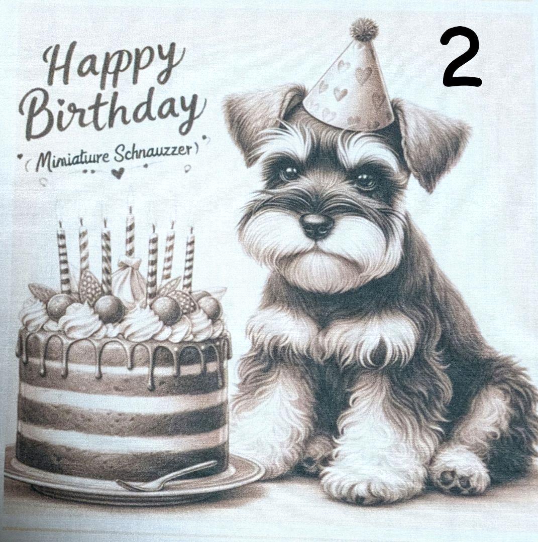 オーダー受付　シュナウザー　ご予約ページ　1/18