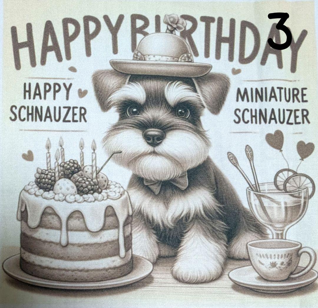 オーダー受付　シュナウザー　ご予約ページ　1/18