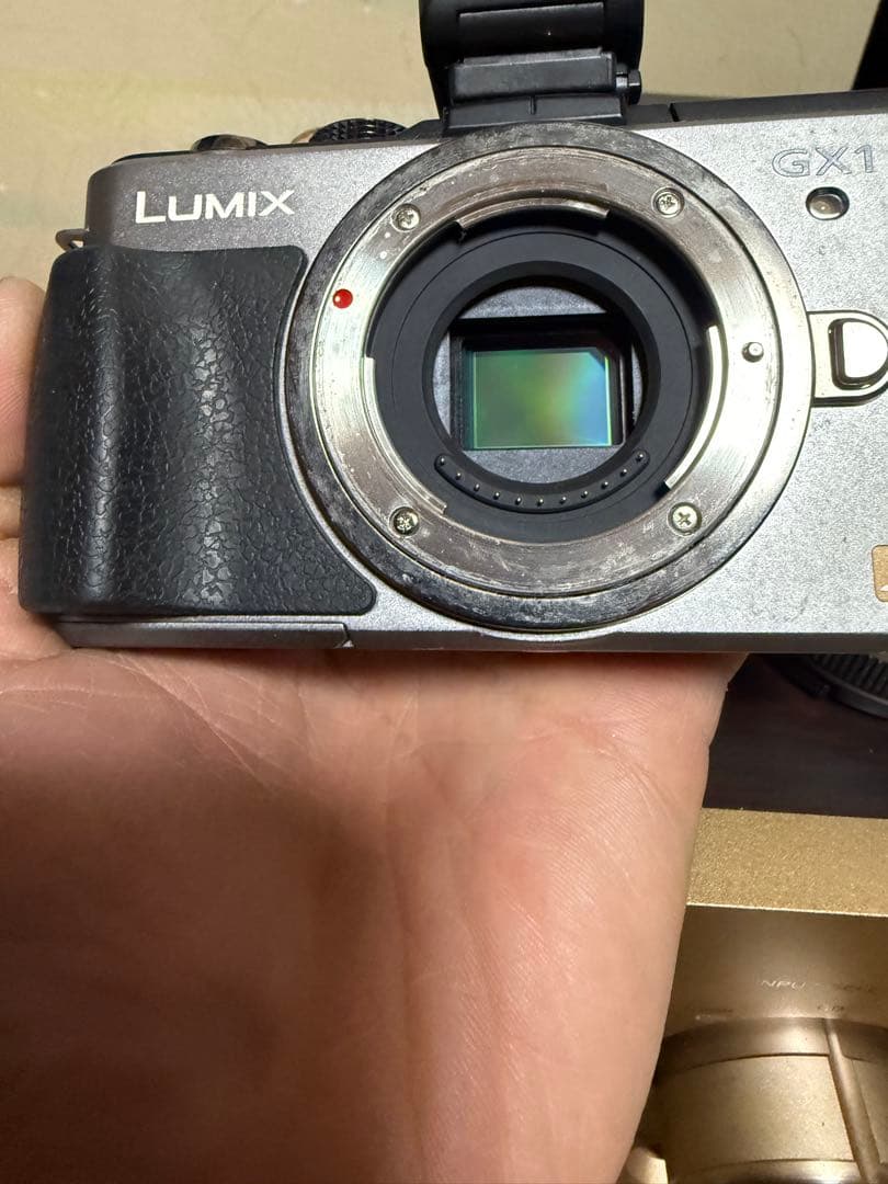 Panasonic LUMIX DMC-GX1 レンズ付き