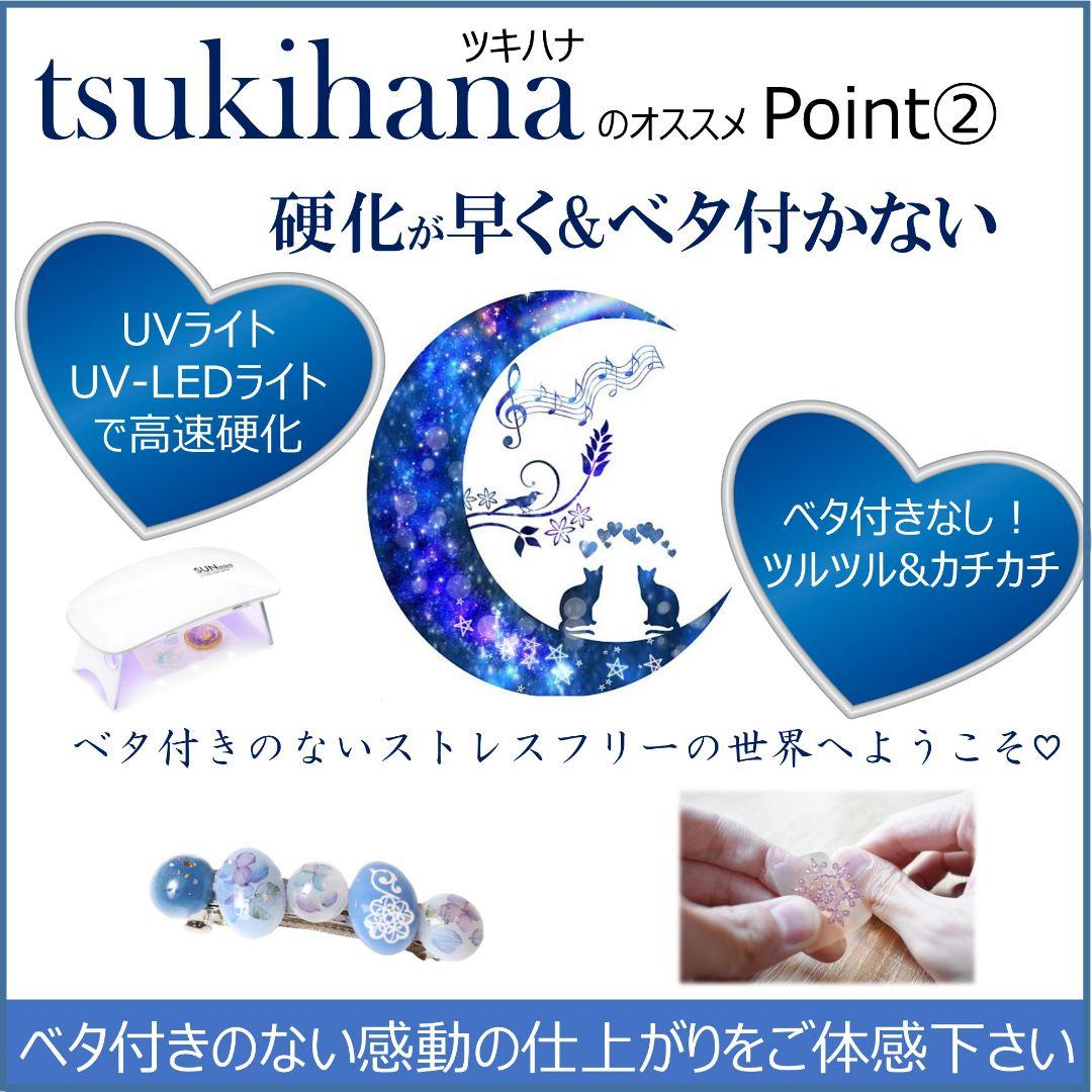 たぁ✩.*˚ フルール20 本、コーティング剤つき✩.*˚