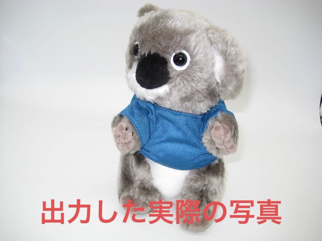 Canon IXY Digital 10 キャノン イクシー デジタル デジカメ