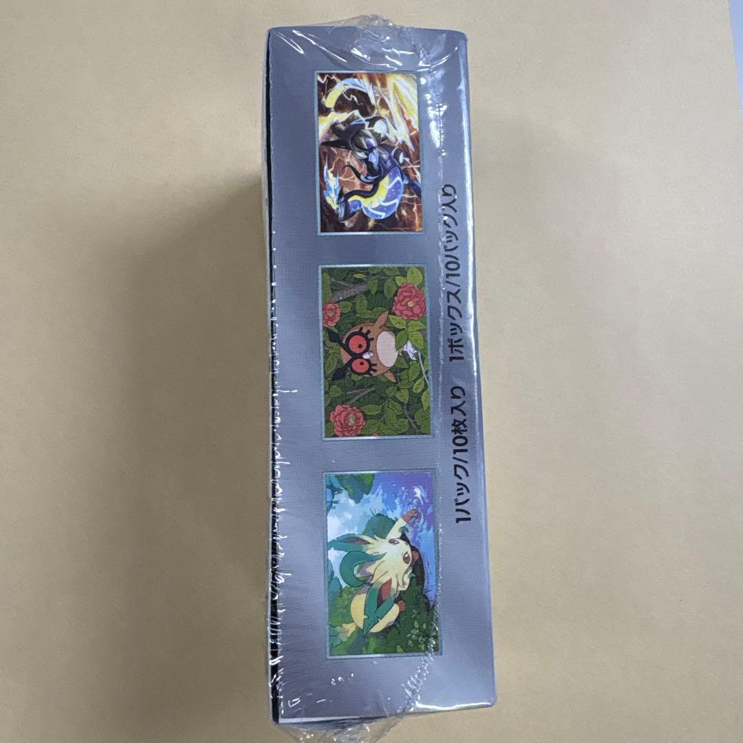 ポケモンカードゲーム テラスタルフェスEX 10パック入り