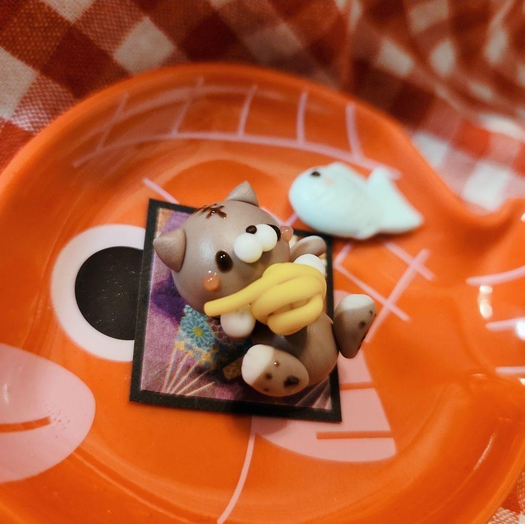 毛糸でじゃれてる♪虎猫ちゃん